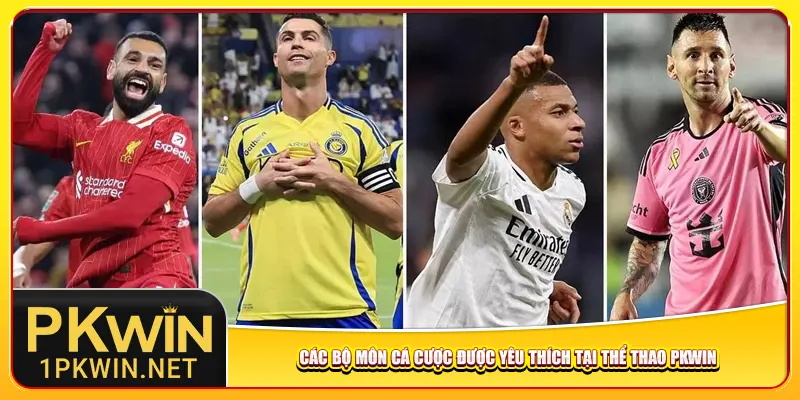 Các bộ môn cá cược được yêu thích tại thể thao Pkwin
