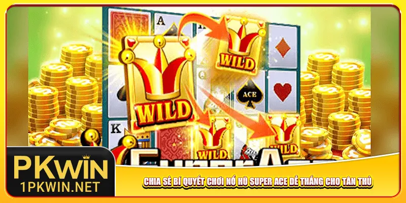 Chia sẻ bí quyết chơi Nổ hũ Super Ace dễ thắng cho tân thủ