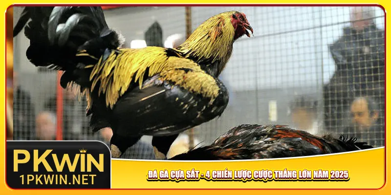 Đá Gà Cựa Sắt – 4 Chiến Lược Cược Thắng Lớn Năm 2025