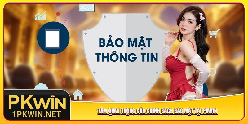 Tầm quan trọng của chính sách bảo mật tại Pkwin